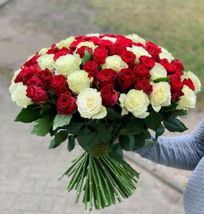 Raudonų ir baltų rožių duetas  (101vnt)