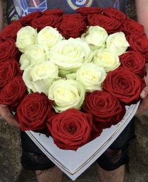 Širdelė rožių (raudonų - baltų)